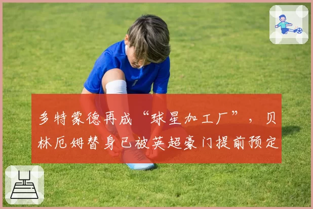 多特蒙德再成“球星加工厂”，贝林厄姆替身已被英超豪门提前预定